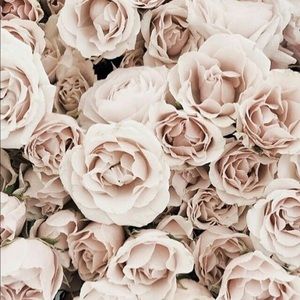 Meet your Posher, Rahmi